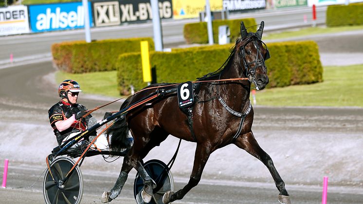Milliondollarrhyme klar för Elitloppet 2021.