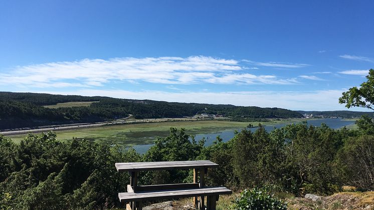 Mariebergs naturreservat, utsikt från Mareberget