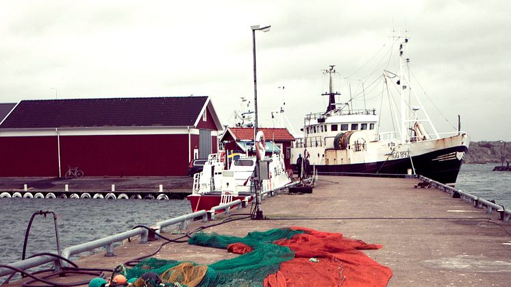 Kvoterna för 2016 års fiske i Västerhavet klara