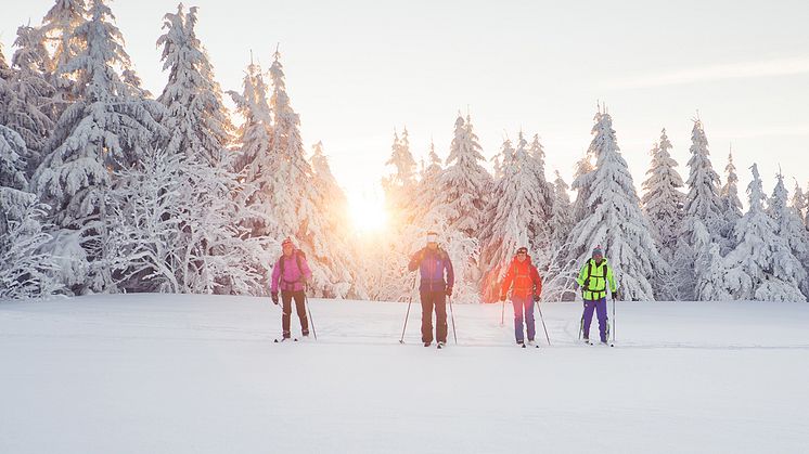 gemeinsam unterwegs durch verschneite Winterlandschaften (Foto: TVE/studio2media)