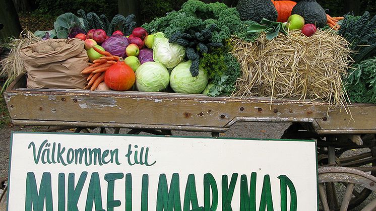 Det blir många nya kul inslag - blandat med det traditionsenliga - under Mikaeli marknad 25 september 2016. Foto: Max Lennartsson