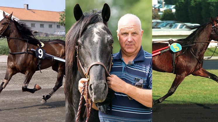 Julienne, Jan-Olov Persson med Järvsöfaks och Shan Rags