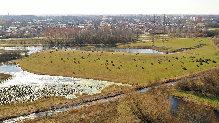 Gullåkra mosse