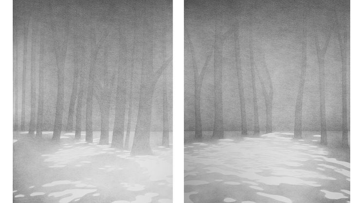 Aleksandra Kucharska ställer ut stora blyerts- och kolteckningar i Kungsbacka konsthall 10/9-6/11.