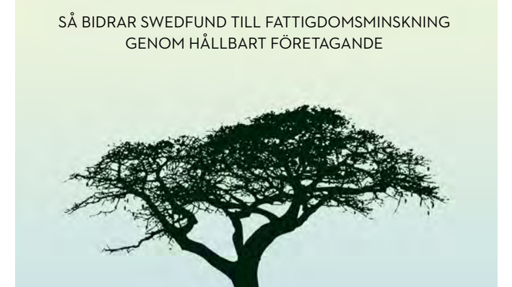 Swedfund visar positivt utvecklingsresultat