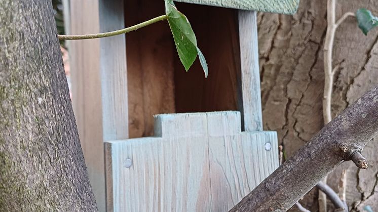 Radlett homes for nature