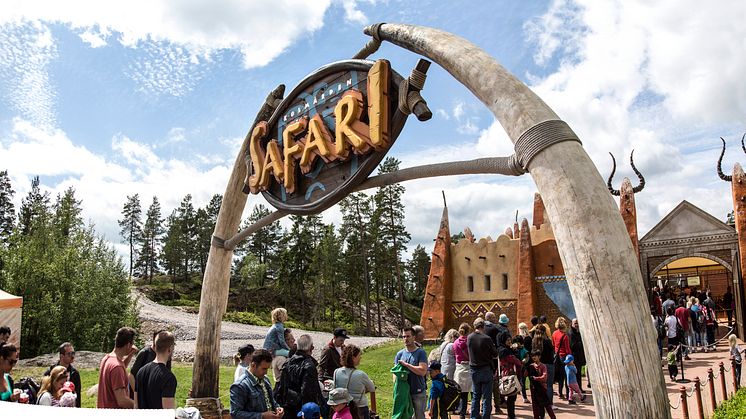 Barn i parken_2015-06-14_040.jpeg