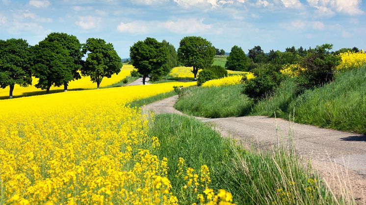 Midsona Sverige övergår till fossilfria vägtransporter och ansluter sig till Transportinitiativet.