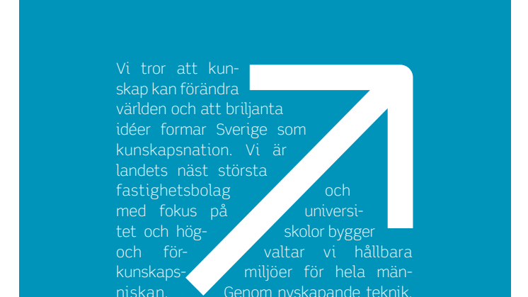 Årsredovisning 2012