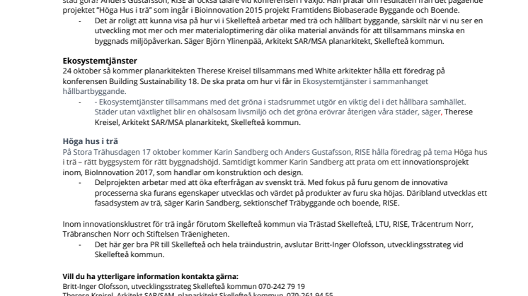Skellefteå – ett fönster mot världen