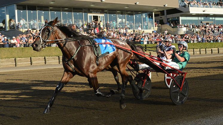 Maori Time inbjuden till Elitloppet
