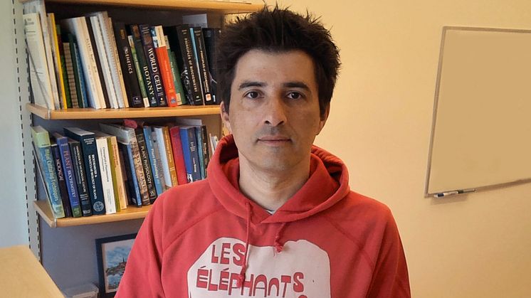 Dimitris Petroutsos