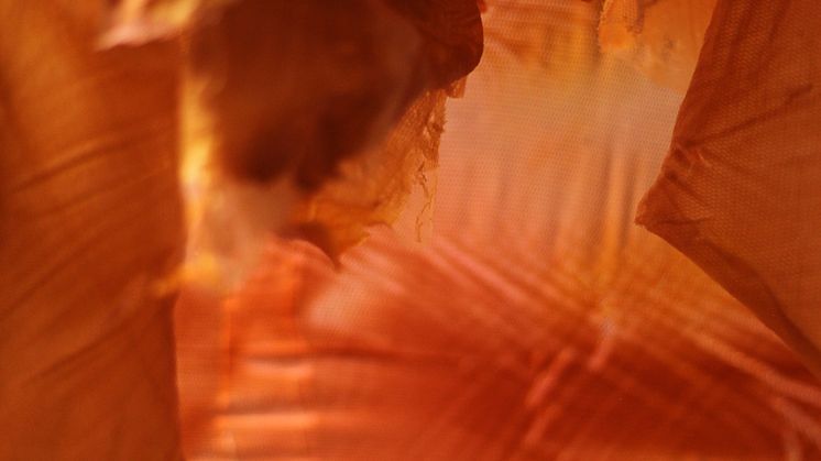 Apichaya Wanthiang, Some Body Else (2022). Gjengitt med kunstnerens tillatelse