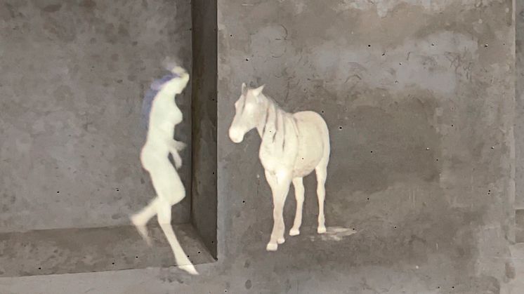 Tove Kjellmark, videoinstallation, Färgfabriken 2022