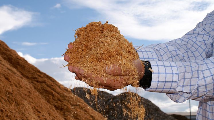Avverkningsrester som sågspån, lignin och halm kan användas för att öka den svenska produktionen av biodrivmedel. Foto: Anders Haaker 
