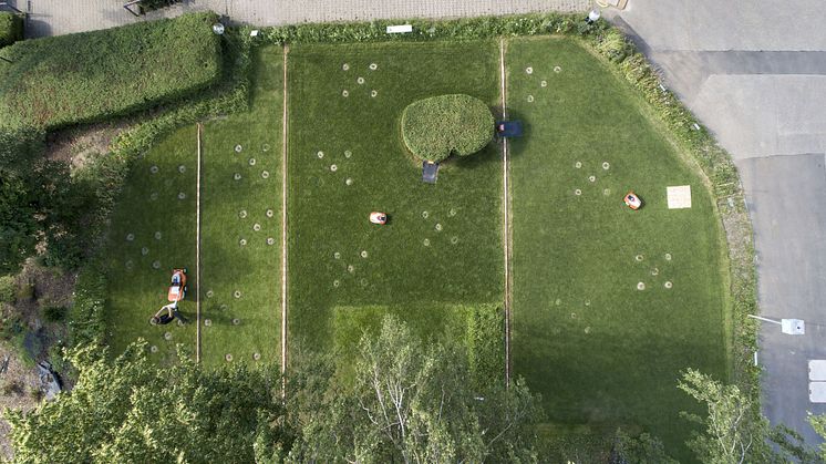 STIHL_Biodiversitaet_01