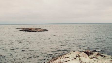 Klagomål på HaV:s beslut om laxfiske