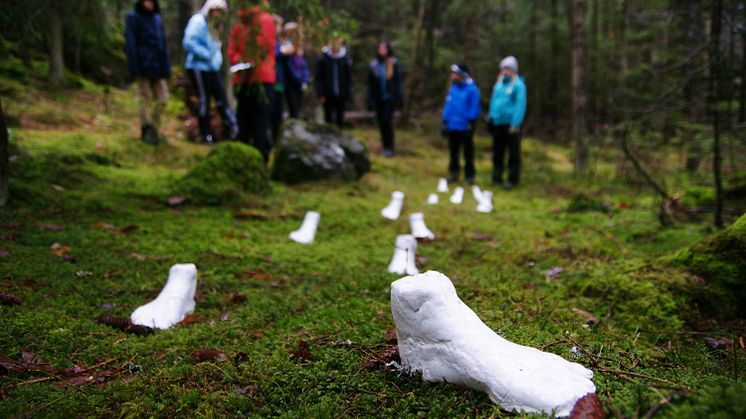 På söndag öppnar årets konststig vid Åleslån på Herrestadsfjället. Här syns en installation av konstnären Rory Botha från tidigare år.