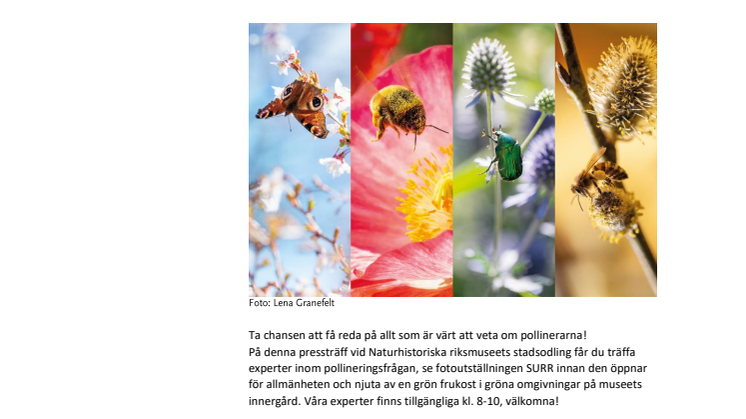 Inbjudan pressfrukost 12 maj