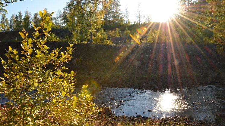 Högre risk för elpristoppar i vinter