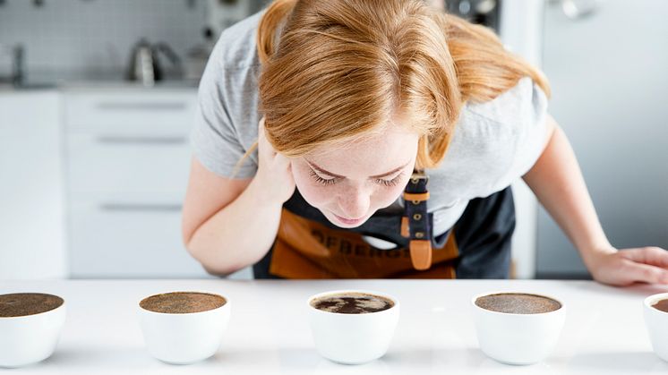 Guide: Bjud in till en provsmakning