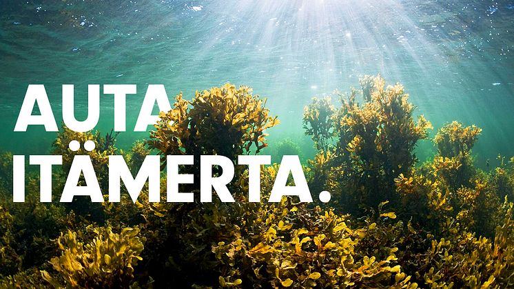 Auta Itämerta