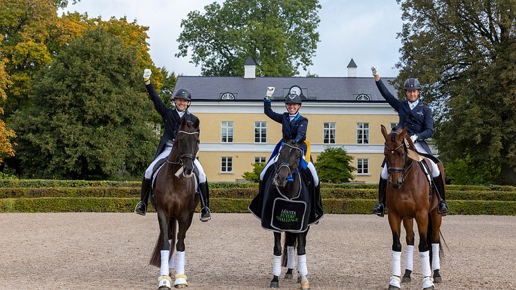Från vänster Martin Ågevall, Karin Persson och Mads Hendeliowitz, foto Roland Thunholm 