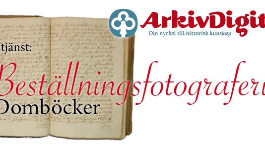 ​Ny tjänst: Beställningsfotografering av domböcker