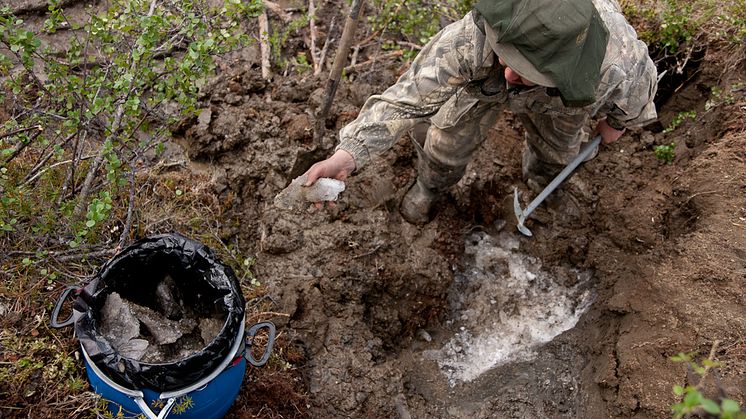 Frozen permafrost under Arctic soils