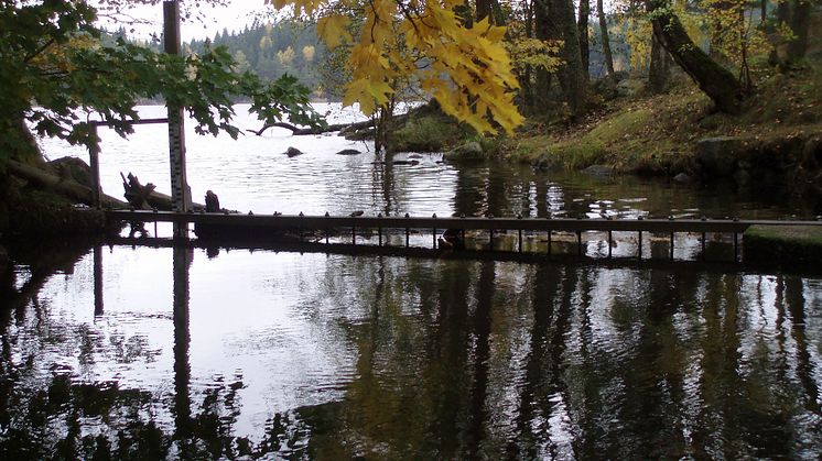2018-10-15--16 Landskapsforum 2018: Vattnet i det brukade landskapet (foto: Ylva Nordin)