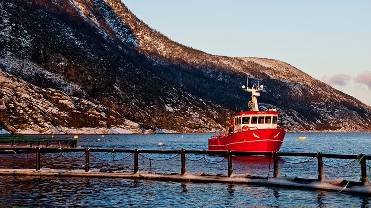 ​​Cermaq ranked #1 for its sustainability report 