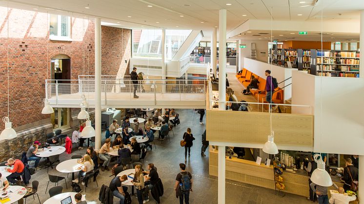 LUX, Lunds universitet