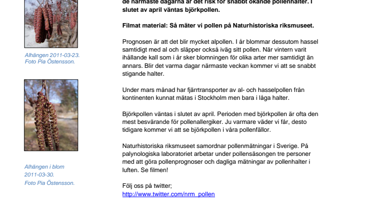 Nu startar pollensäsongen