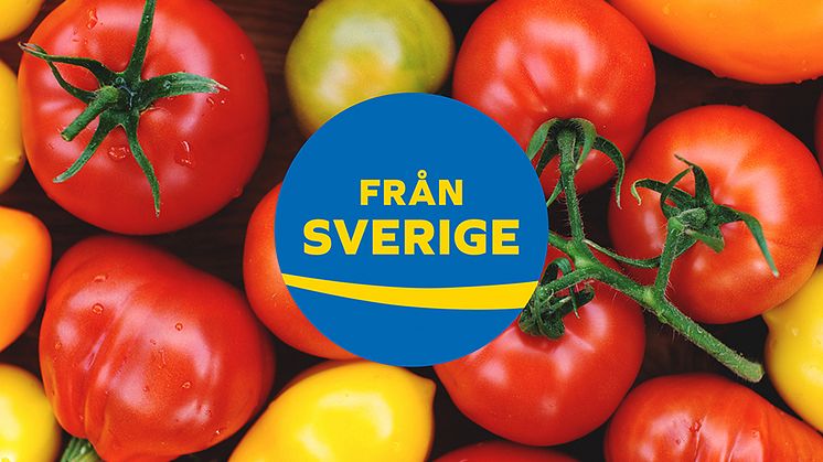 Efterfrågan på svenska tomater fortsätter att öka. 6 av 10 konsumenter vill köpa svenska tomater under säsong – trots det är knappt två av tio som säljs svenska. Svensk tomater är hållbart odlade och potentialen för ökad försäljning är stor.