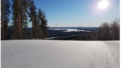 Bjursås april 2022