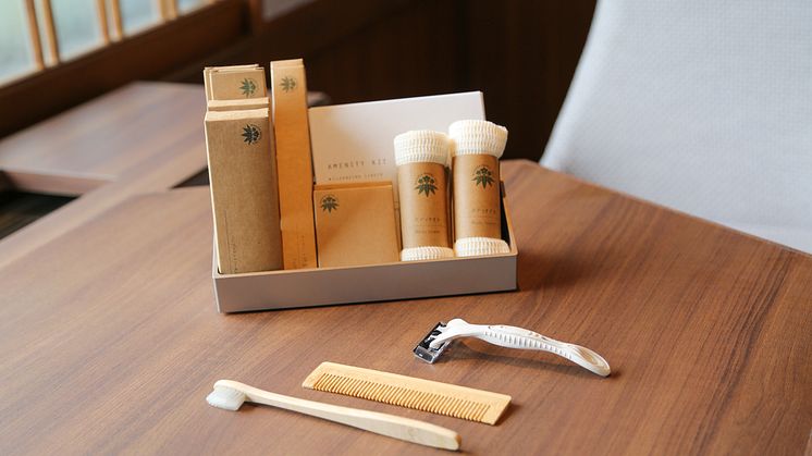 Nikko Kanaya Annex Amenity