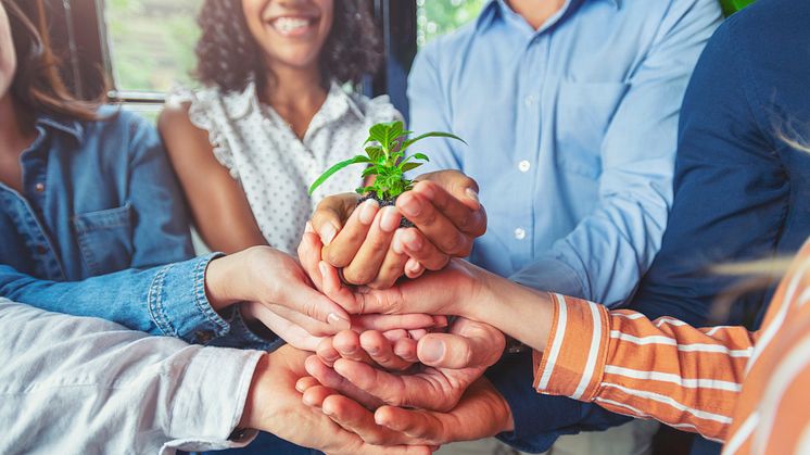 Zurich stellt Umwelt- und soziale Ziele in den Mittelpunkt der Impact-Investment-Strategie