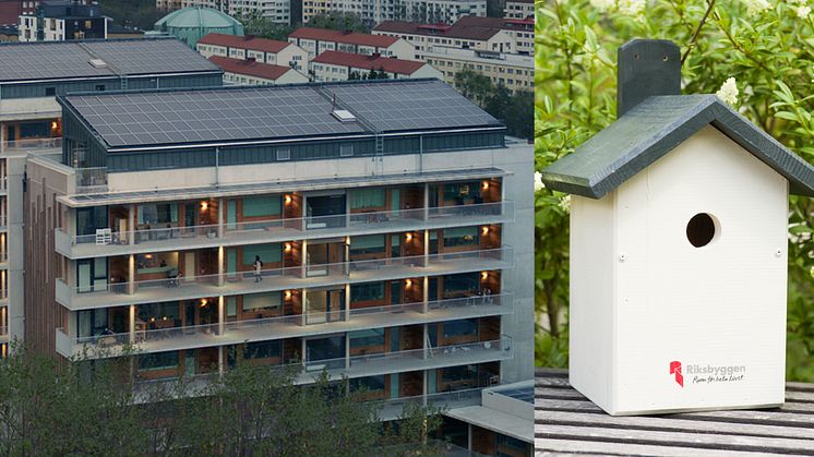 Hållbarhet är stort. Och litet.