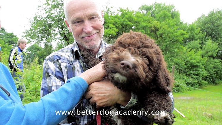 Om Better Dog Academy