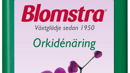 61020_Blomstra Orkidenäring 300.jpg
