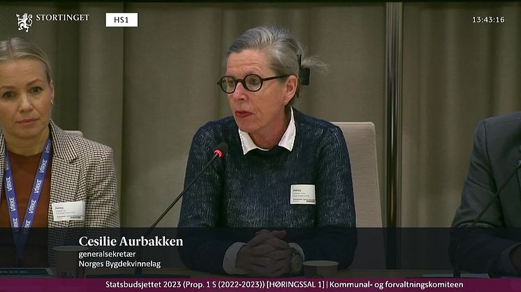 Norges Bygdekvinnelag setter skolemåltid på kartet i Stortinget 