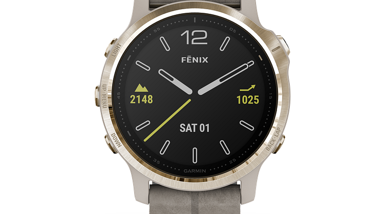 fenix6S-Sapphire_HR_4001.6
