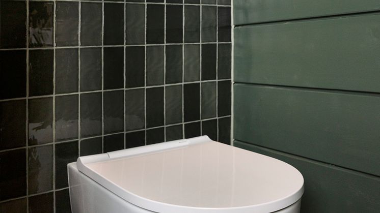 Geberit Sigma 20 -huuhtelupainike ja seinä-wc-istuin.jpg
