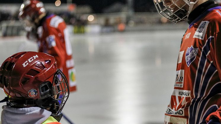 Foto: Bandyfoto.se