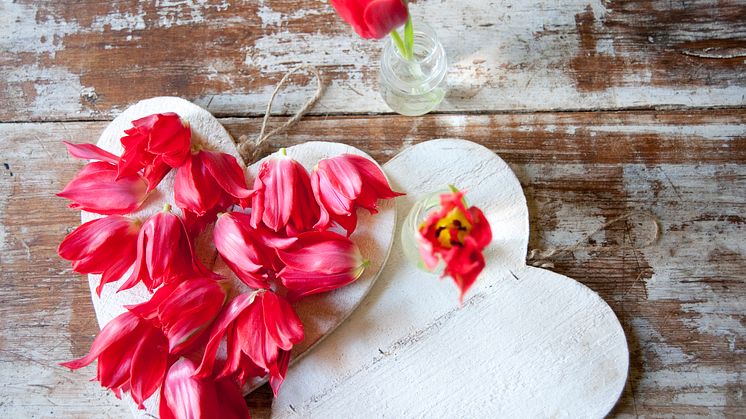 ​Botaniska och Blomsterfrämjandet bjuder in till en dag i vårens tecken