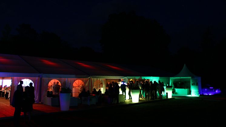 Impressionen von der 2. Bärenherz Sommernacht: Ein Rückblick in Bildern