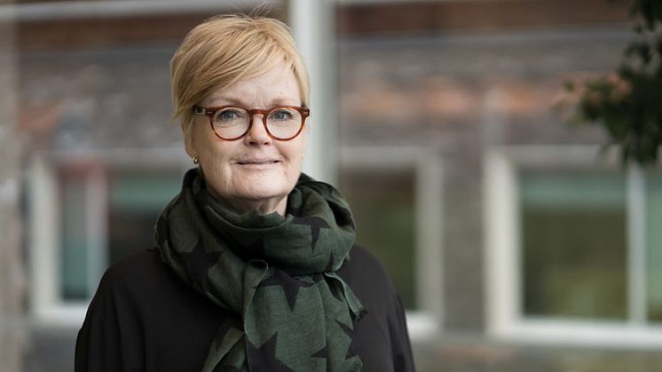 Marie Leijon Malmö universitet 05.jpg