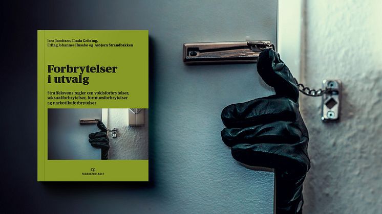 Sex, vold, penger og dop - ny bok om de mest "populære" forbrytelsene