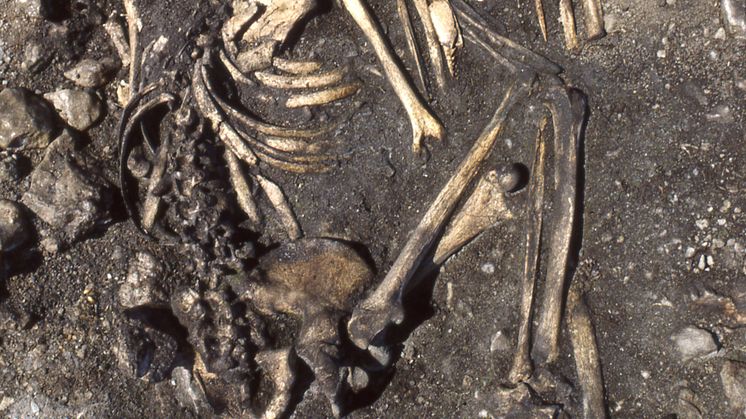 Grave influenced by Battle Axe culture