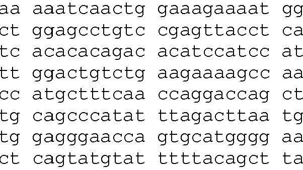Nukleotider i DNA